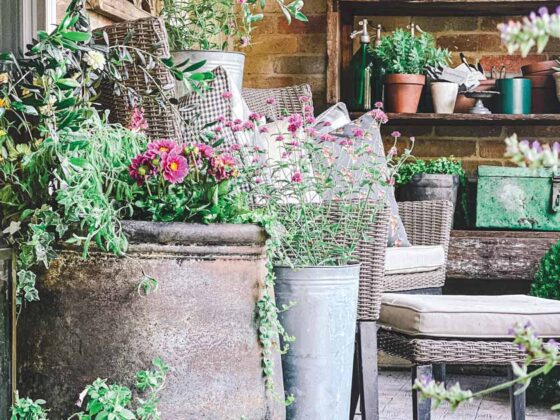 patio with vintage and antique pots and gardenalia