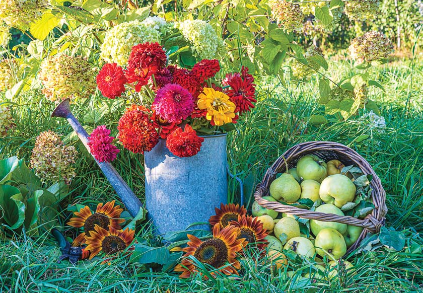 farmers market fall vignette with flowers and pears