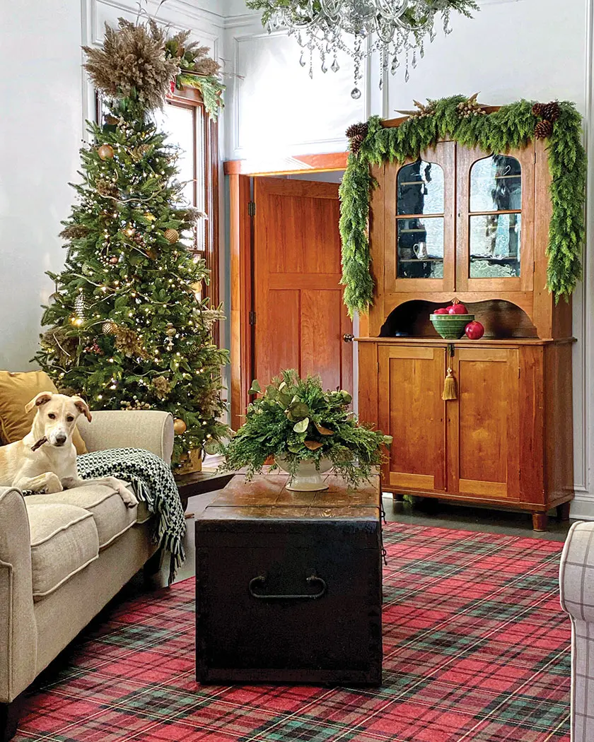 living room with plaid rug fresh greenery and dog in historic Christmas home