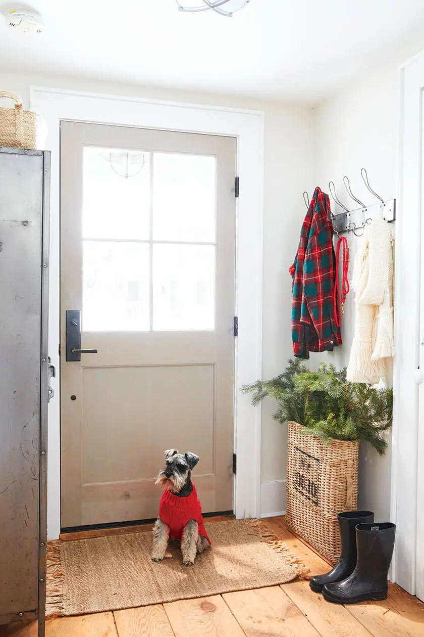 entryway with pine branches in woven basket and mini schnauzer
