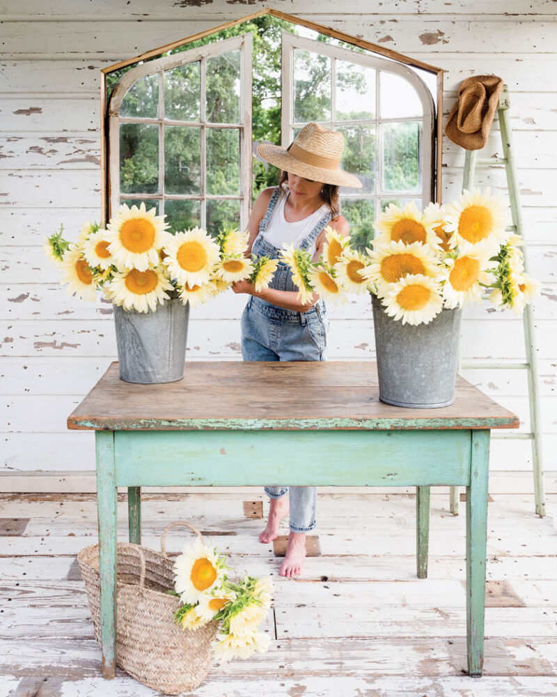 white sunflowers in galvanized tin buckets