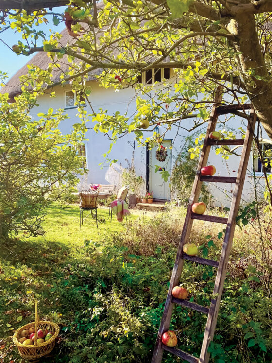 English countryside cottage