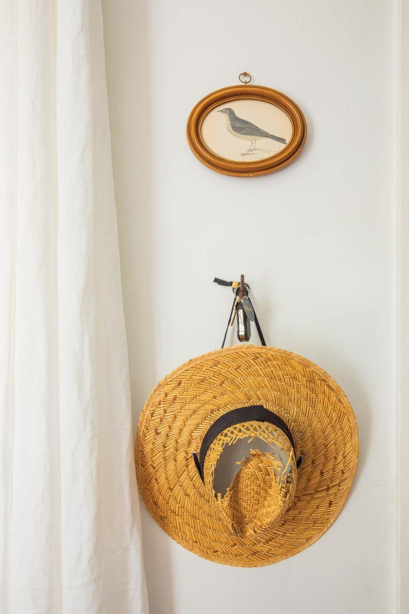 vintage straw hat and bird drawing in circular frame