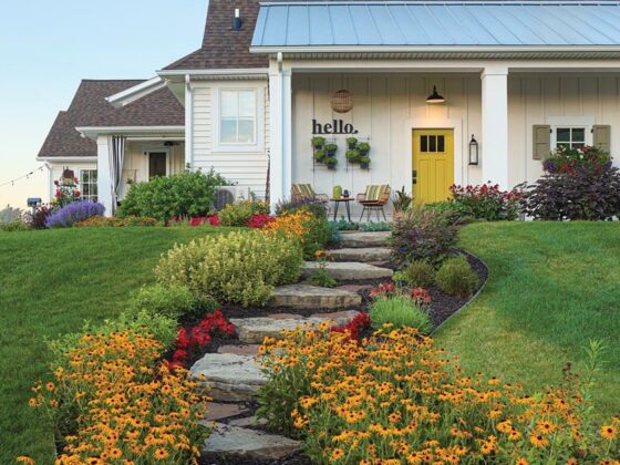 black-eyed Susans and stone pathway to barn