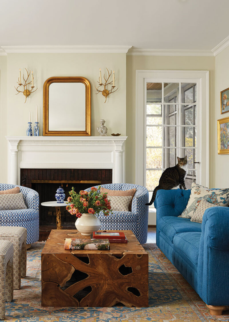 cat sits on sofa in newly designed living room with blue and white color scheme and masterful mix of patterns