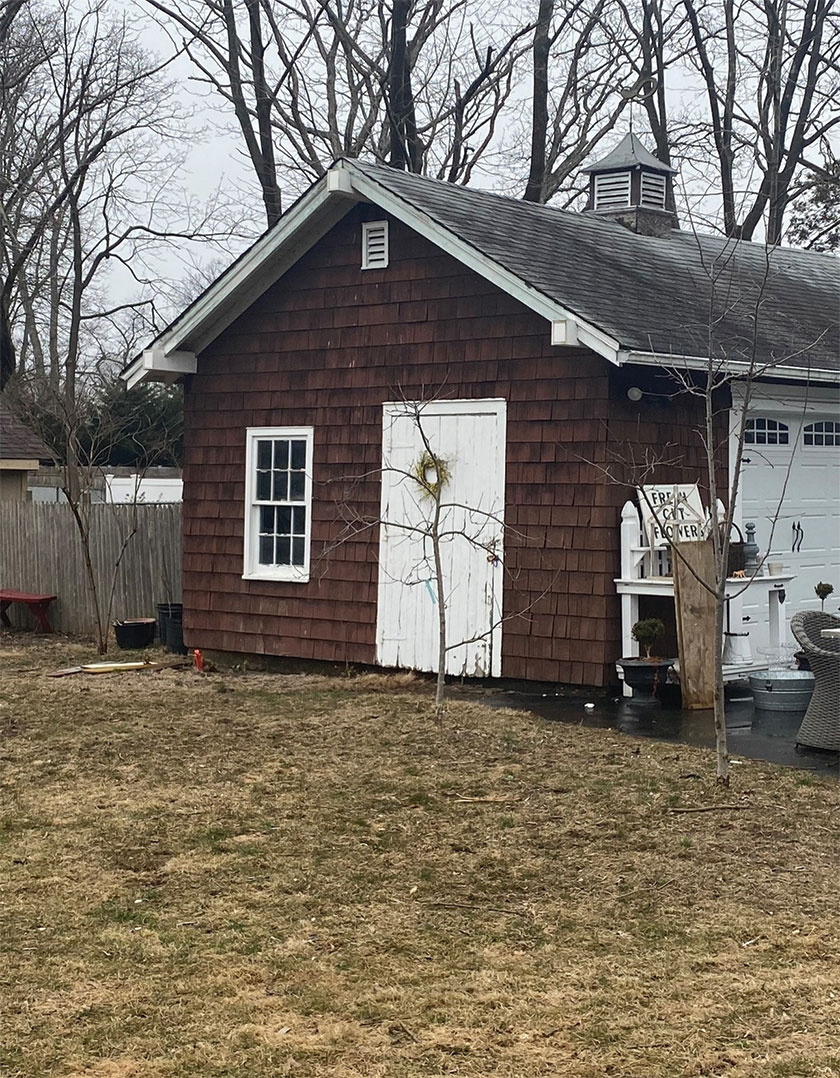 backyard shed before the renovation