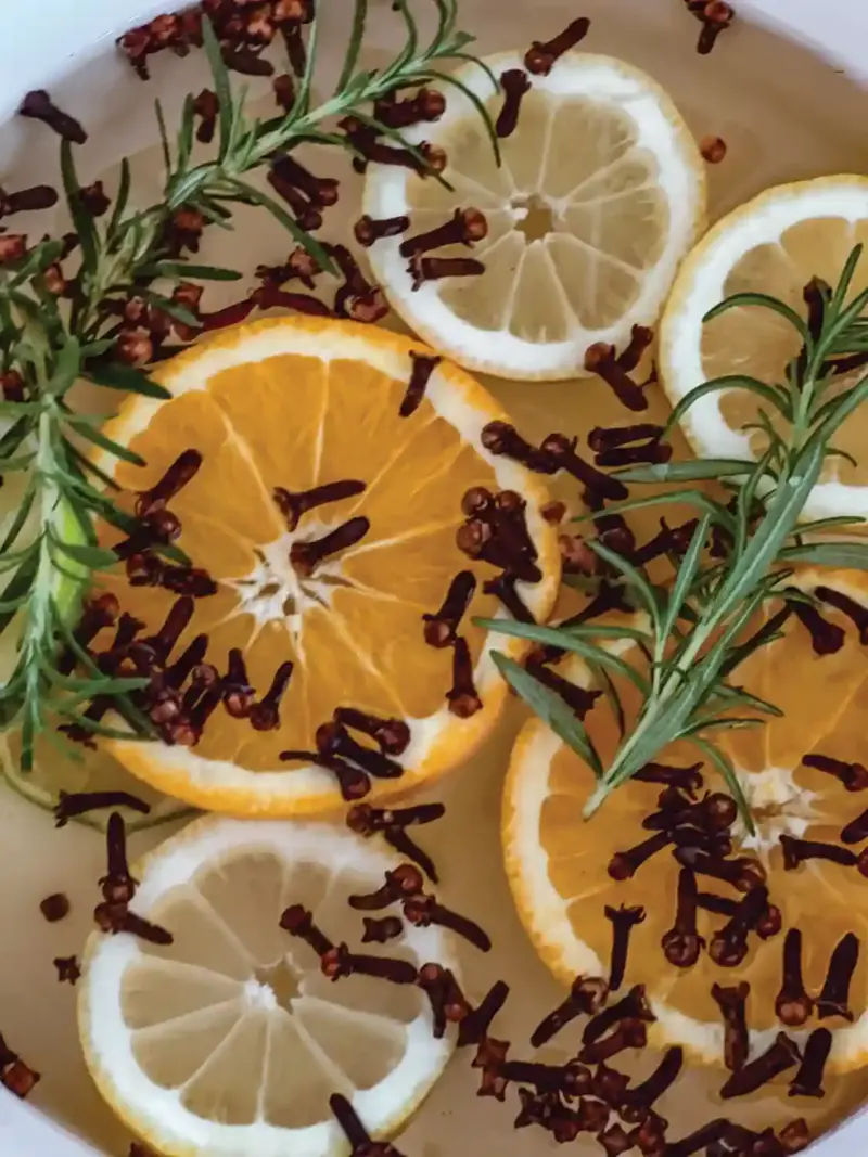 spring simmer pot
