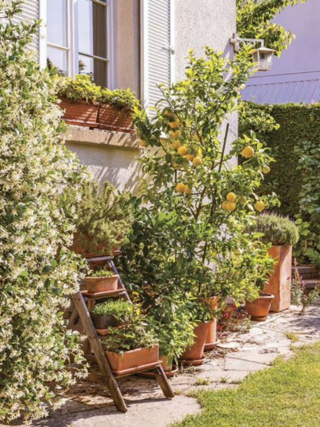 Gardening Ideas for a Backyard Beauty Boost